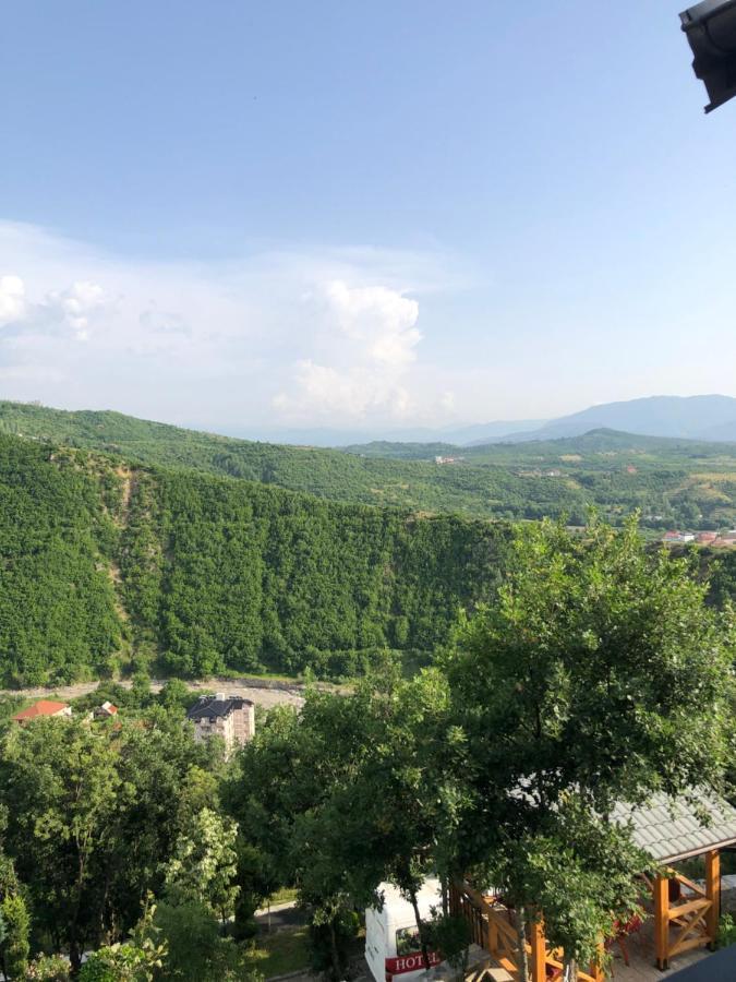 Hotel Bujtina Vrenezi Peshkopi Esterno foto