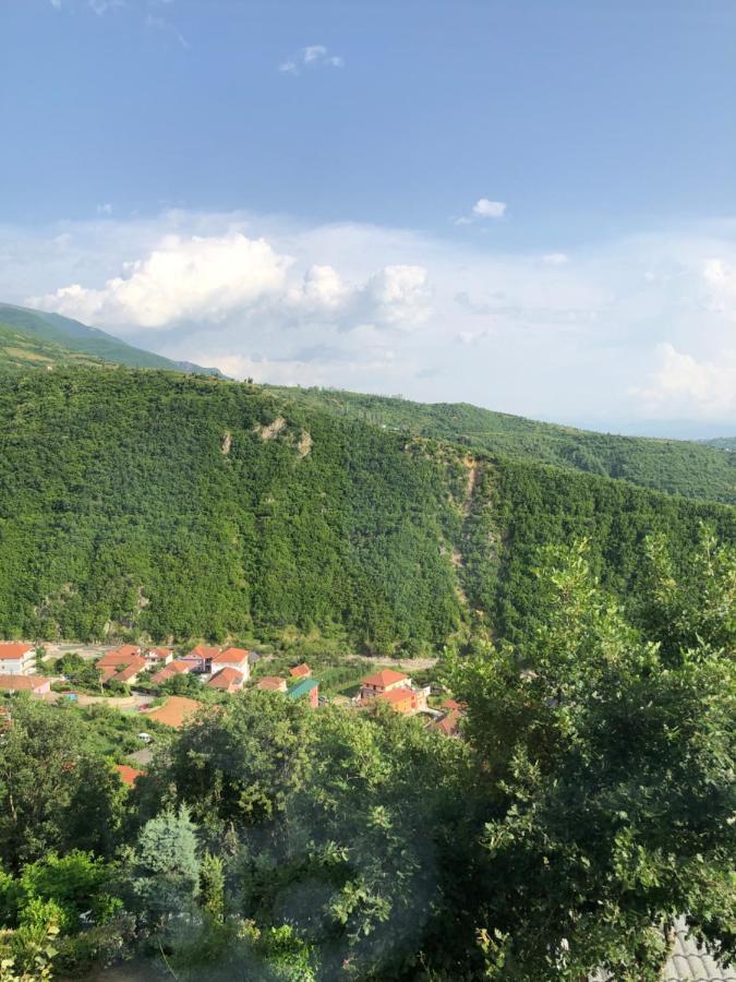 Hotel Bujtina Vrenezi Peshkopi Esterno foto